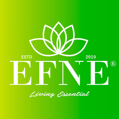 Logo de Efne