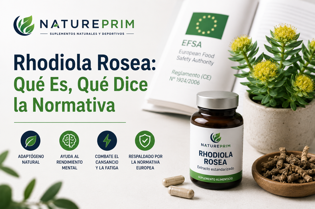 Rhodiola Rosea: Qué Es, Qué Dice la Normativa Europea y Cómo Se Toma