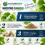 Ginkgo Biloba 6500 mg EstadoPuro | Extracto 50:1 al 24% en Flavonglucósidos | 80 Cápsulas