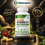 Berberina 97% EFNE | 1.500mg por Dosis | Vegana | 90 Cápsulas
