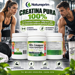 Creatina Creapure® EFNE | 100% Pureza Certificada | Vegana | 300g