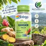 Ginger Root 550mg Solaray | Raíz de Jengibre Pura | Vegano | 100 Cápsulas