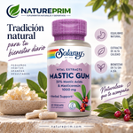 Pack 2 Mastic Gum 500 mg Solaray | Extracto de Lentisco | 45 Cápsulas
