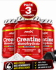 Pack 3 Creatina Monohidrato Micronizada Amix | 750 g